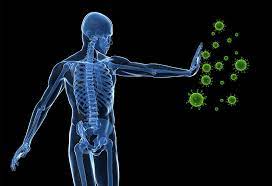 Unveiling the Complexities ​of the ​Immune System: Health ​and Defense ​Guardians
